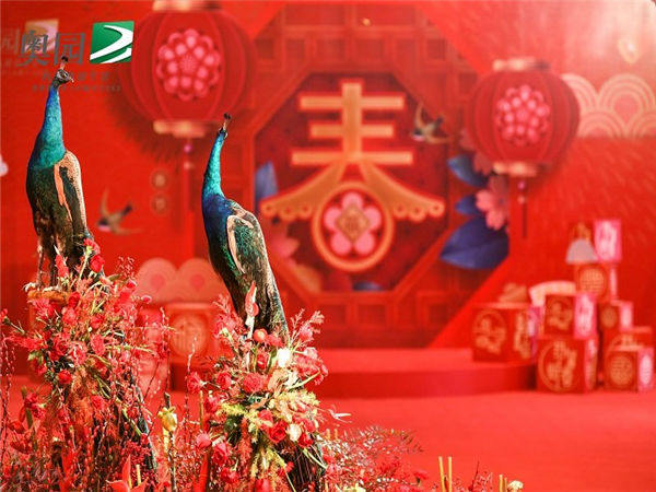 如何搞定高端的年會活動？以下這六點可以幫你！