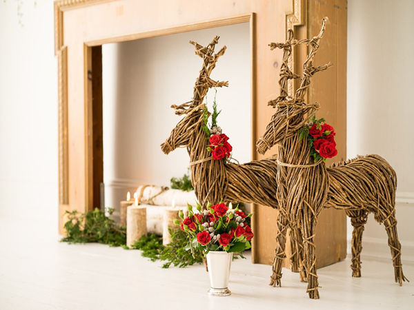 復(fù)雜的動物活動設(shè)計(jì)