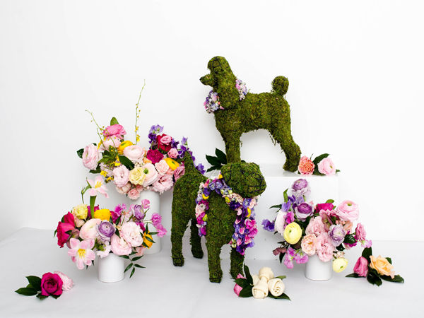 深圳時光在線案例分享：以動物為特色的活動策劃