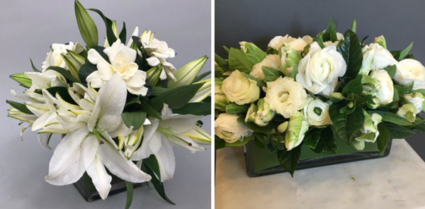 活動(dòng)策劃花卉：梔子花