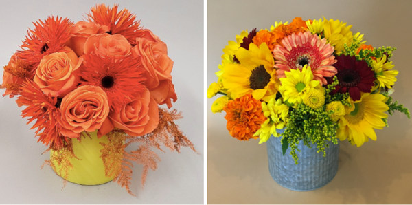 活動(dòng)策劃花卉：雛菊