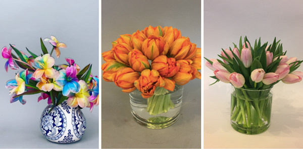 活動(dòng)策劃花卉：郁金香