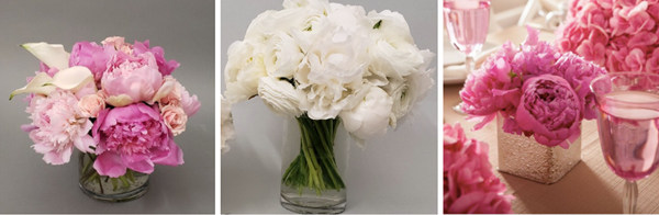活動(dòng)策劃花卉：牡丹