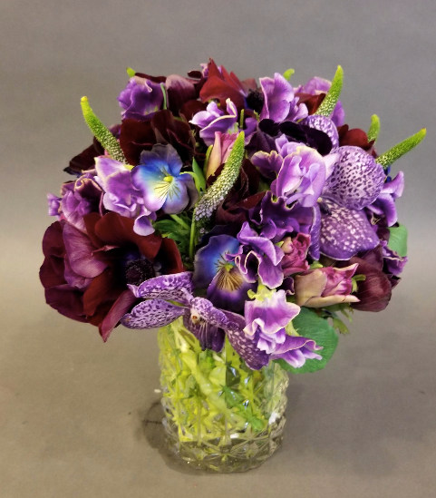 活動(dòng)策劃花卉：紫羅蘭