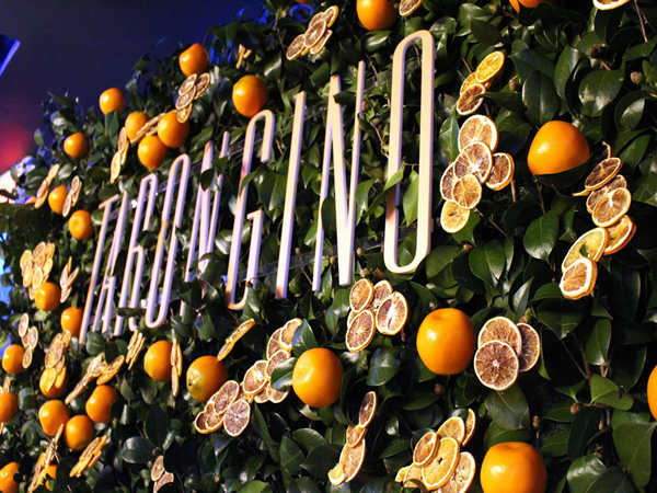 利用非花卉來WOW客人