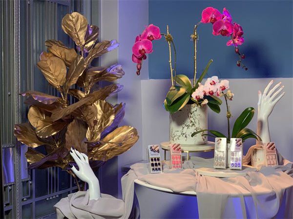 利用花卉會(huì)產(chǎn)生影響