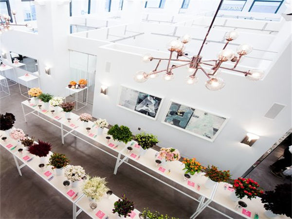 如何創(chuàng)建社交媒體活動策略?