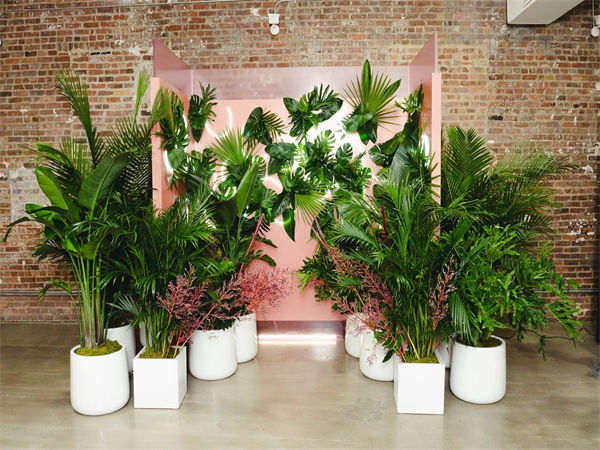 5種有創(chuàng)意的方式吸引下一次活動的參與者