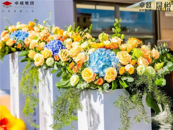 開業(yè)典禮活動策劃：開啟輝煌事業(yè)的第一步