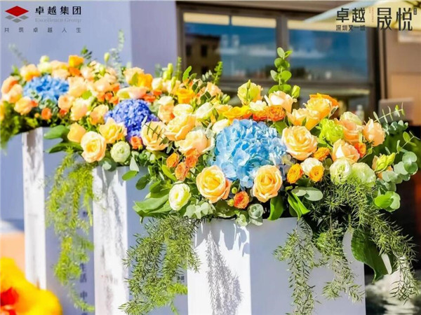 深圳開業(yè)慶典，點亮夢想的盛宴